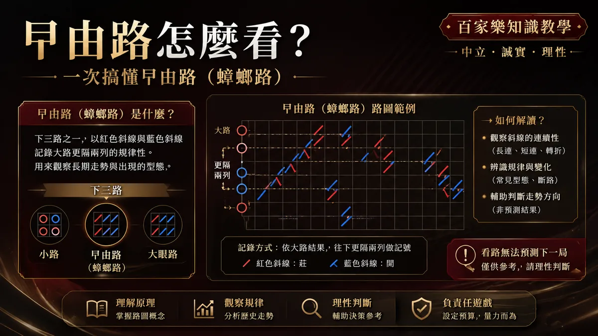 百家樂曱甴路(蟑螂路)怎麼看?一次搞懂